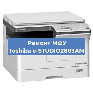 Замена прокладки на МФУ Toshiba e-STUDIO2803AM в Нижнем Новгороде